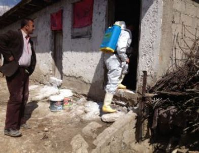 Sofular Beldesinde Şap Hastalığı Görüldü