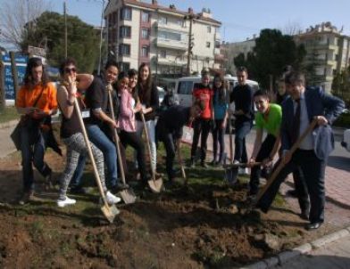 Yabancı Öğrenciler Kazma-kürekle Çalışıyor