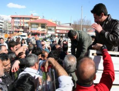 Fidan Alabilmek İçin Yarıştılar