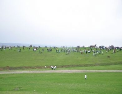 Genç Tema 500 Fidanı Toprakla Buluşturdu