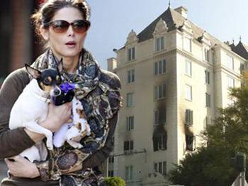 Ashley Greene Ölümden Döndü