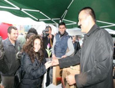 Düzce Belediyesinden Vatandaşlara 15 Bin Lale