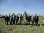 Elbeyli İlçesinde Fidanlar Toprak İle Buluştu