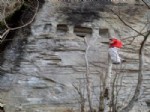 GÜMÜŞDERE - Etrafı Taş Duvarla Çevrili Kaya Mezarları İlgi Görüyor