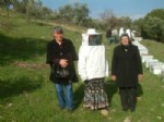 PELITKÖY - Burhaniye’de Kadınlar Da Arıcı Oldu
