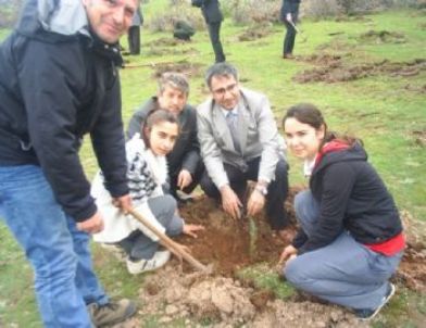 Gömeç’te Ağaç Bayramı