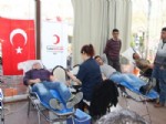 BEŞİR ATALAY - Çan’da Kan Bağışı Kampanyası