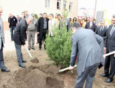 Samsun’da Orman Haftası Etkinlikleri