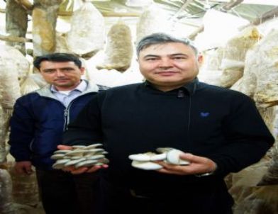 Ege Lokmanı Şevki Güngör: