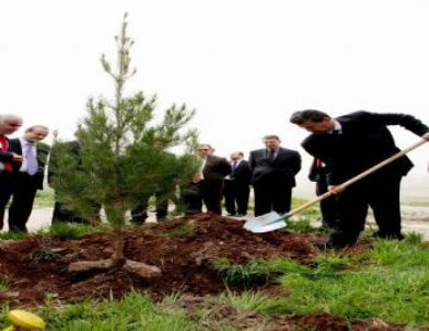 Şanlıurfa’da “Orman Haftası” Kutlandı
