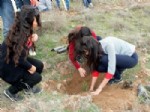 HÜSEYIN ÖZER - Gaziosmanpaşa Koyulhisar Meslek Yüksekokulu Öğrencileri Ağaç Dikti