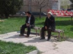 SADIK AHMET - Güneş Yüzünü Gösterdi, Yerköylüler Parklara Akın Etti