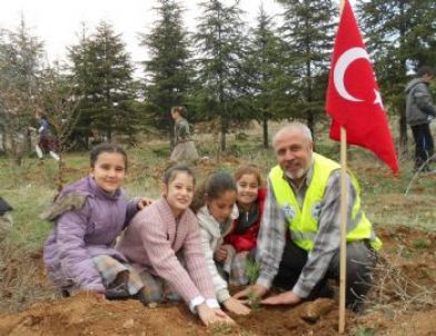 Kırıkkale'de Fidan Dikimi
