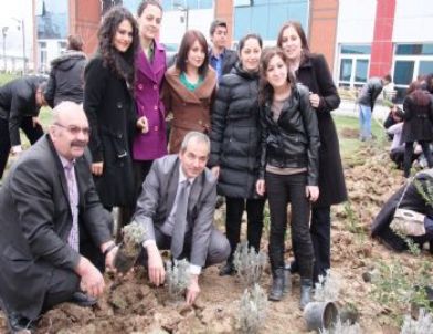 Makü Öğrencileri İçecekleri Bitki Çaylarını Okulda Yetiştirecek