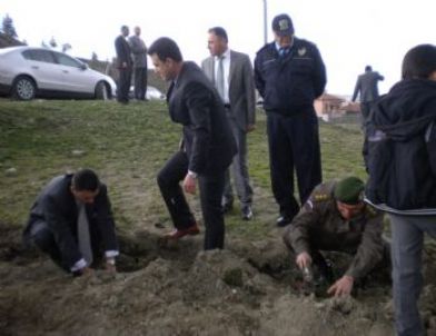 Protokol ve Öğrenciler Şehitliğe Fidan Dikti