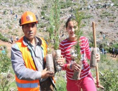 Yangında Kül Olan Ormana 2 Bin Fidan Dikildi