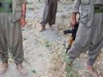 AKıN BIRDAL - 'PKK'ya 17 Mart'ta Ateşkes Çağrısı Yapılacak'