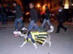 Van’da Fenerbahçelileri Kızdıracak Görüntü