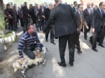 Vali Açılışta Koyunun Kesilmesine İzin Vermedi