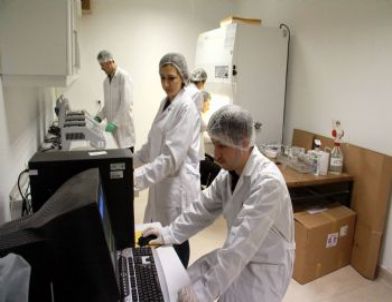 Omü Ziraat Fakültesi Öğrencileri, Doku Kültürüyle Virüssüz Bitki Üretti