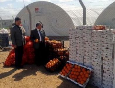 Suriyeli Sığınmacılara Portakal ve Mandalina İkramı