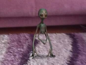 Bitlis'te yaratık iddiası