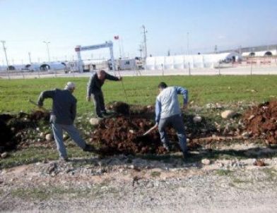 Suriyelilerin Kaldığı Kamp Çevresi Ağaçlandırıldı