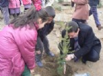 Bozüyük’te 75 Fidan Toprakla Buluştu
