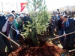 Cumhurbaşkanı Abdullah Gül Anısına Hatıra Ormanı