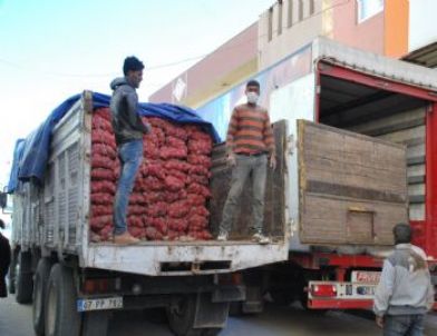 Diyanet’ten Suriye’lilere Yardım
