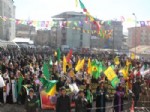 Hakkari’de ‘8 Mart Dünya Kadın Günü’ Şenliği Başladı