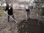 ÇOCUK BAKIMI - Köylü Kadınlar 8 Mart’ı Da Çalışarak Geçirdi