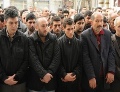 Bu Acıya Yürek Dayanmaz