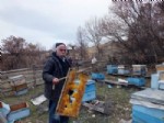 Koyulhisar’da Arı Kovanları Parçalandı