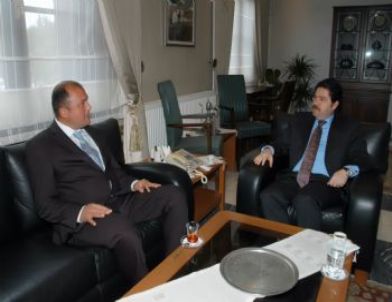 Melsa Ölüdeniz’e Düzen Getirdi