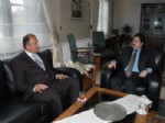 Melsa Ölüdeniz’e Düzen Getirdi