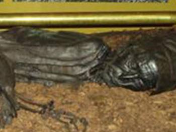 2 bin 400 yaşındaki vejetaryen