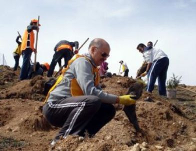 Tema'dan Gömürgen'e 2250 Fidan