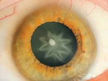 Bir bakan bir daha bakıyor!