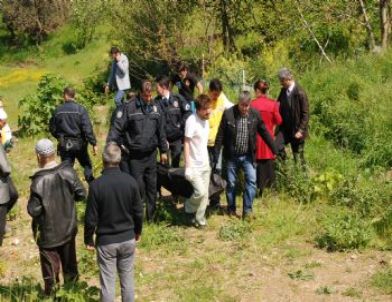 Ecel Bahçede Pazı Toplarken Yakaladı