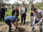 SÜTÇÜ İMAM ÜNIVERSITESI - Ksü Öğrencileri Fidan Dikti