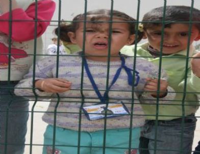 Barışın Simgesi Zeytin Fidanları Törenle Dikildi