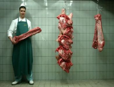 Hollanda 50 Bin Ton Eti, At Eti Şüphesi İle Toplatmaya Başladı