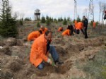 Mahkumlar Umutların Yeşermesi İçin Fidan Dikti