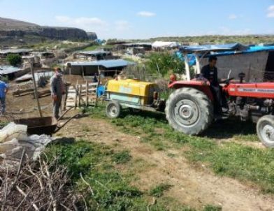 Mut'ta Larva Mücadelesi Başladı