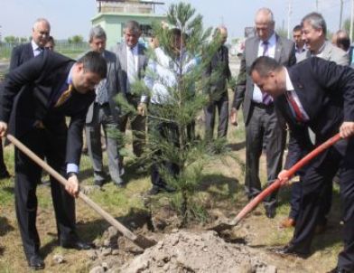 251 Bin Dev Öğrenci Projesi