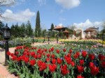 HERCAI - Gaziantep Dev Bir Botanik Bahçesi Gibi