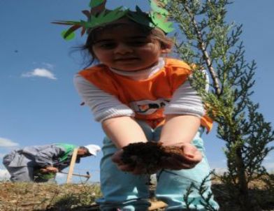 Peygamber Sevgisiyle Fidan Diktiler