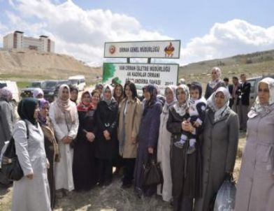 AK Parti Van İl Teşkilatı 500 Fidan Dikti