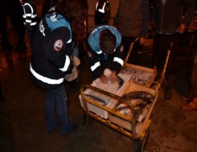 Denizlerde Av Sezonu Sona Eriyor